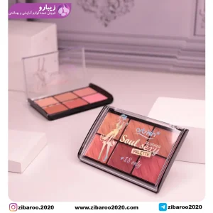 پالت رژگونه ۶ رنگ آرت اسکین