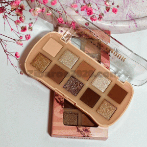 پالت سایه هایلایتری۱۰ رنگ انی لیدی کد 8301