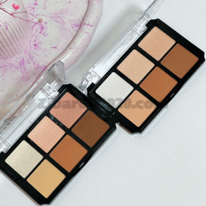 پالت هایلایتر و کانتور انی لیدی 8280